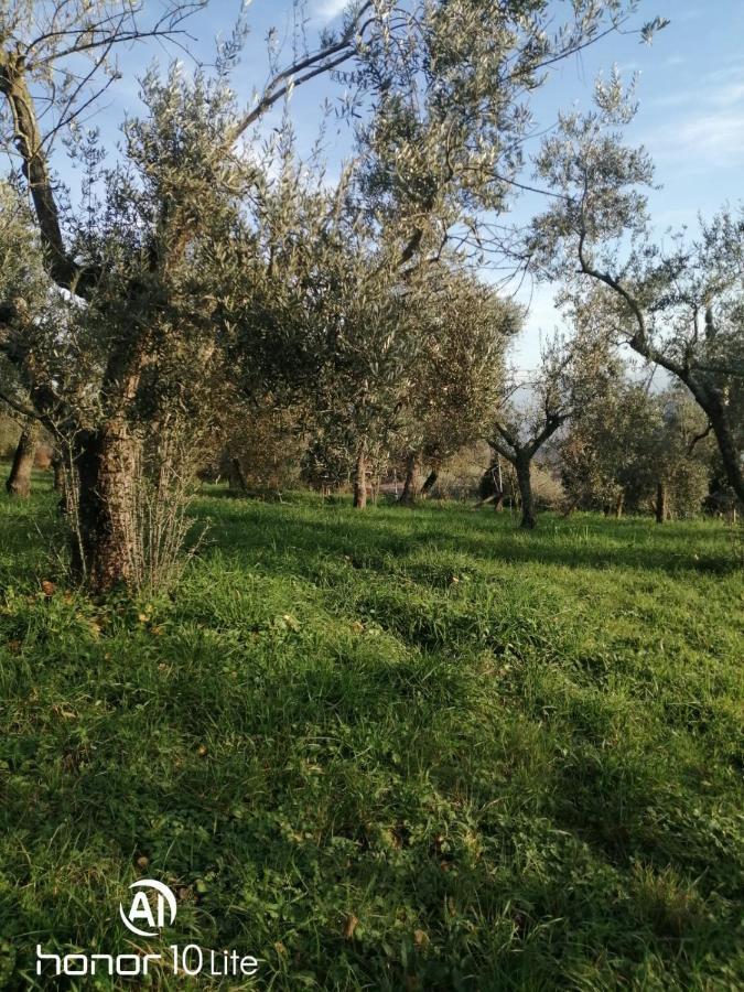 Appartamento Serenella Maenza Esterno foto