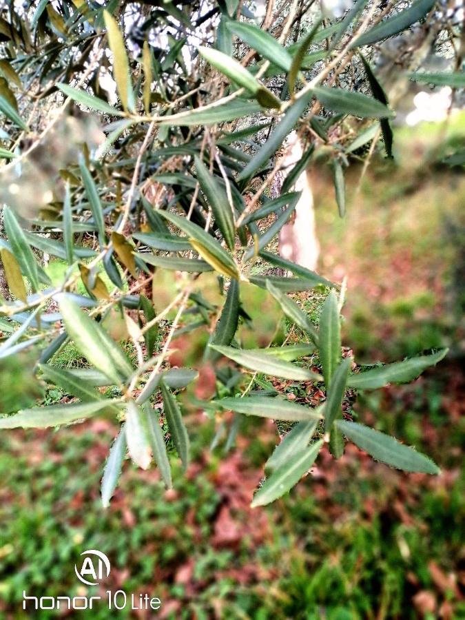 Appartamento Serenella Maenza Esterno foto